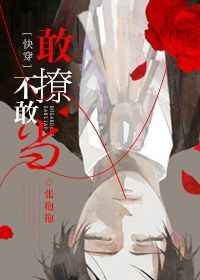 敢撩不敢当[快穿]未删减